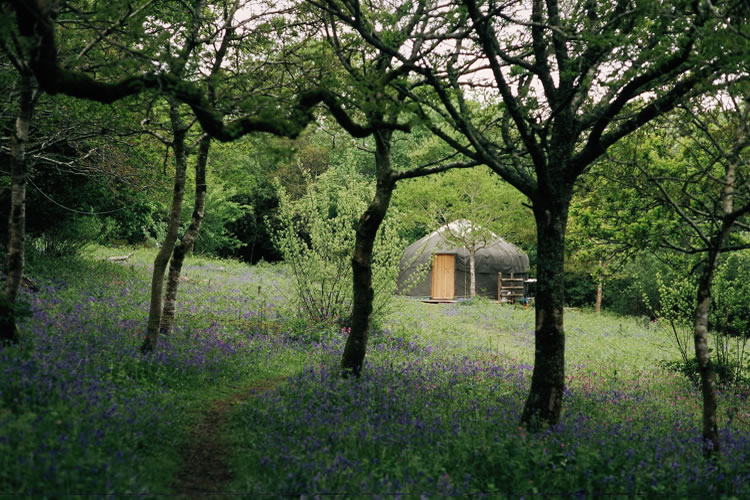 camping a yurt