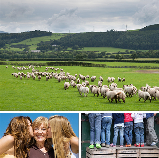 The UK’s great green breaks