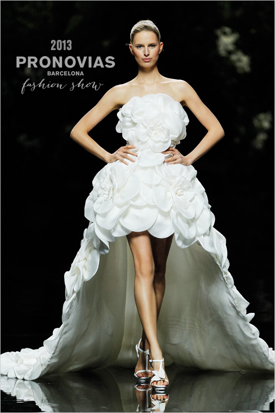 Magical wedding dresses collection Pronovias 2013