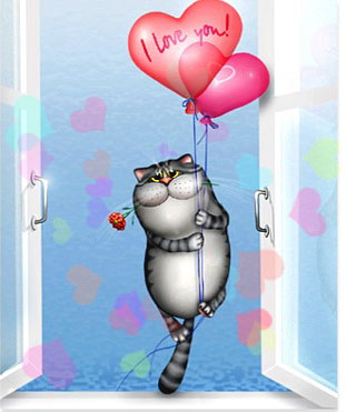 funny valentines day cat